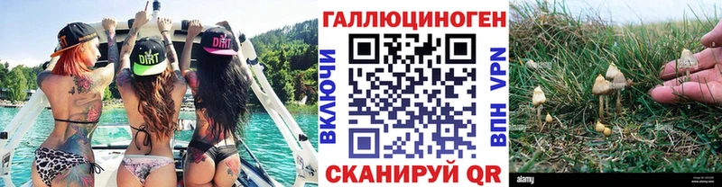Псилоцибиновые грибы мухоморы  OMG ссылки  Ульяновск  наркота 